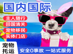 泰州机场空运国际宠物托运 【国